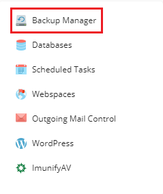 Backup manager