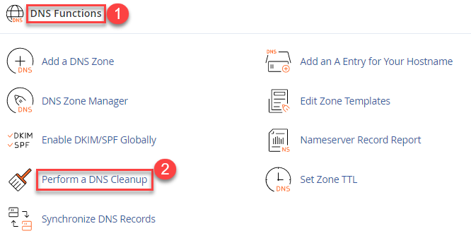 Perform a DNS cleanup
