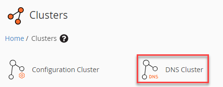 DNS cluster